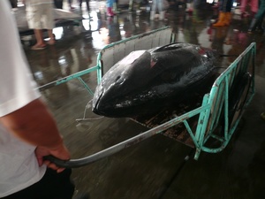黑鮪魚市場-3