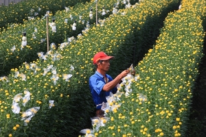 細心照料