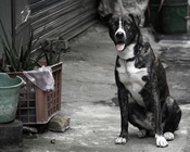 「憶眷」─ 守候。