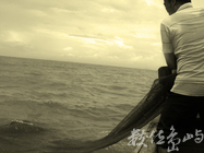 收網<BR>圖．文/陳皇儒  