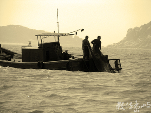 越域<BR>圖．文/陳皇儒