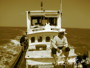 出航<BR>圖．文/陳皇儒    