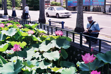 花