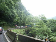 遊覽車這樣也要倒退