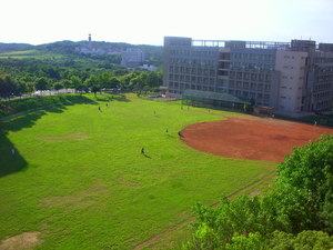 從管二6樓往下看棒球場