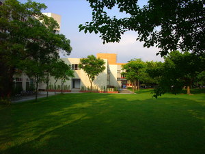 二餐附近的草地