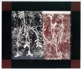 城市 塵世 植物