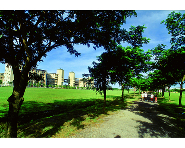 2008數位島嶼攝影比賽-校園(高雄大學)