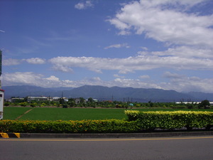 或者, 是阿里山山脈?