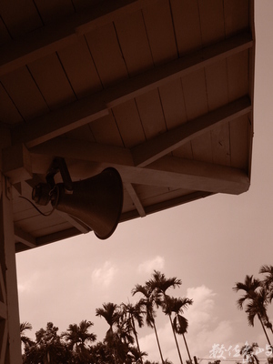 從丘陵到高山－阿里山鐵道