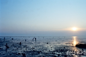 香山溼地之日落