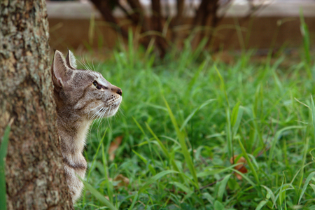 2008數位島嶼攝影比賽-城市