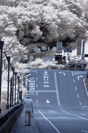 【交通之路】