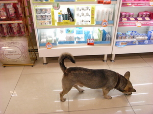 出門逛街的台北人