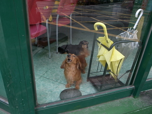 想出門或是恨外人的台北人