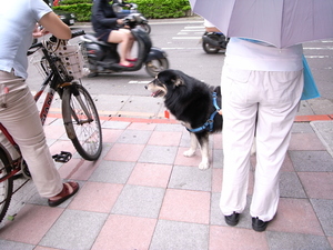 戴護身符的台北人