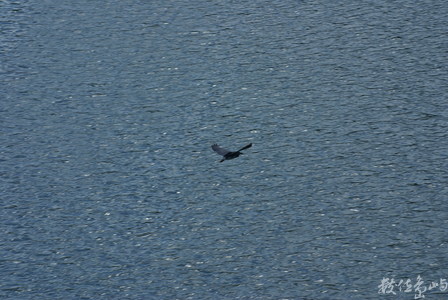 1.建築百景.台灣基督教.淡水教會