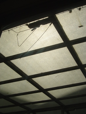 長榮路波哥，洗手時總會看到