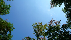 那一天，天很藍