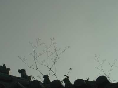 都是台南