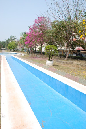 城市中的小公園