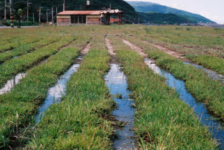 盛夏海洋微風之11號公路