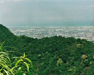 繁榮城市,鄉土情-10