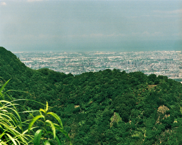 繁榮城市,鄉土情