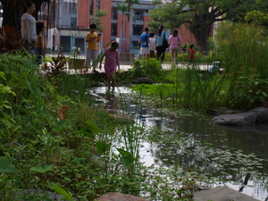 3.池邊‧童樂