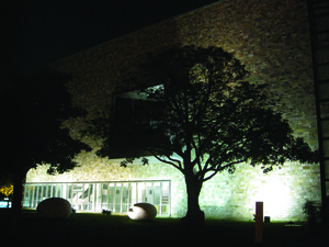 夜光中的光影世界