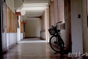 等待主人的歸來