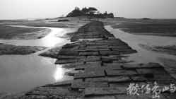 退潮時搭起了石版鵲橋