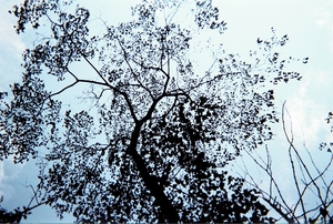 你好,當初,我又回來了...編號左上