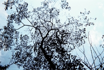 你好,當初,我又回來了...編號左上