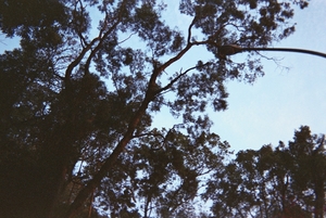 你好,當初,我又回來了...編號中中