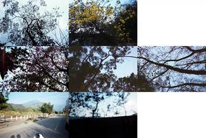 你好,當初,我又回來了...編號0