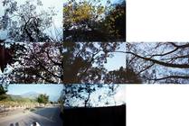 你好,當初,我又回來了...編號0