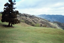 當他們併在一起時,就回到當初的感受...編號1