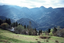 當他們併在一起時,就回到當初的感受...編號4