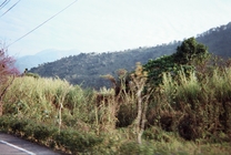 當他們併在一起時,就回到當初的感受...編號2