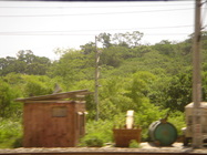 搖擺吧!女孩!...編號1