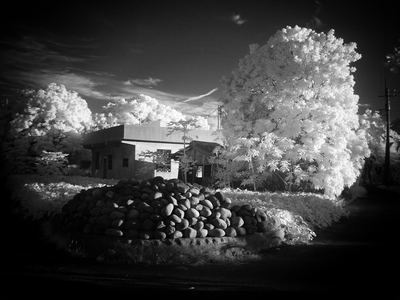 island to island城市