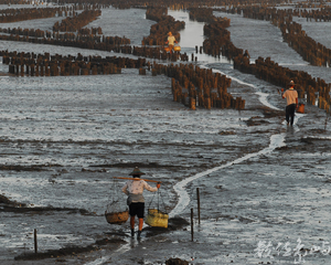 第一名    許淑梅-從戰火中站起來的金門人