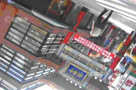 2006 犬儒共和國