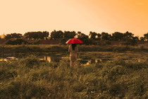 LOST THINGS-有河有夕陽