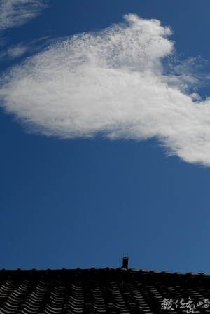 地方文化館˙新竹蕭如松藝術園區