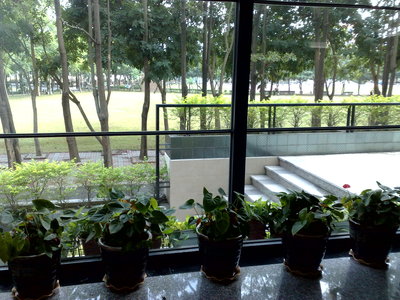 作業---【校園】