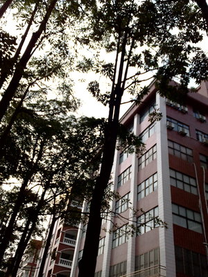 作業---【校園】