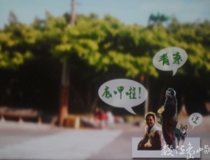 青菜，底呷啦！