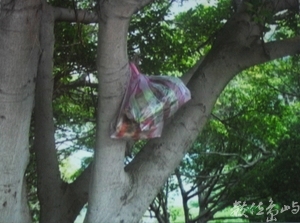 青菜，底呷啦！